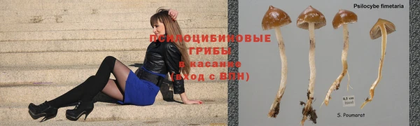 марки lsd Медвежьегорск