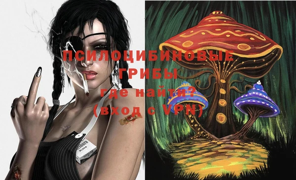 a pvp Вяземский
