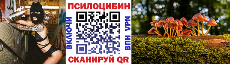 Галлюциногенные грибы ЛСД ссылка на мегу сайт Заполярный
